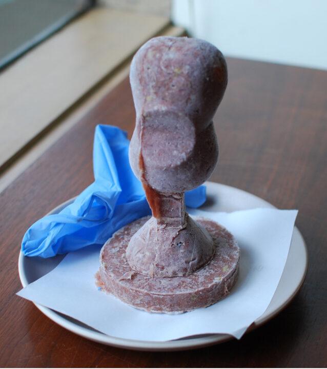 Seth David Friedman, Untitled, 2015, frozen dog food, 7 x 4 x 4 inches.