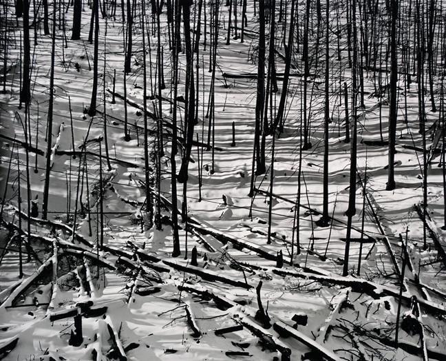 Ryan McIntosh, Brian Head Utah, 2018, silver gelatin print, 8 x 10 inches.